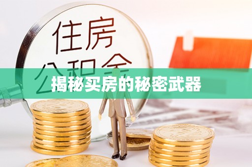 安乐揭秘买房的秘密武器