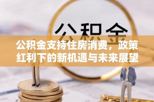 安乐公积金支持住房消费，政策红利下的新机遇与未来展望